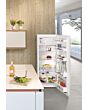 Liebherr K2834 Freestanding Tall Fridge with Ice Box