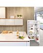 Liebherr K2834 Freestanding Tall Fridge with Ice Box