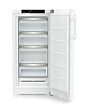 Liebherr RBa4250 Freestanding Fridge with BioFresh
