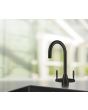 Caple AVE2/BS Caple AVE2/BS Dual Control Tap