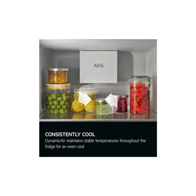 AEG TF6DS181ES Built-In Fridge with Ice Box