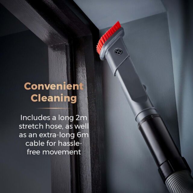 Tower T108000BLGPET RXP30PET Bagless Upright Vacuum Cleaner